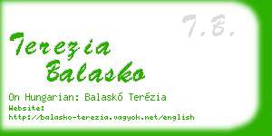 terezia balasko business card